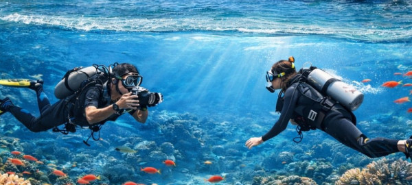 Diving and Snorkeling Trip to Ras Mohammed and White Island – Sharm El Sheikh