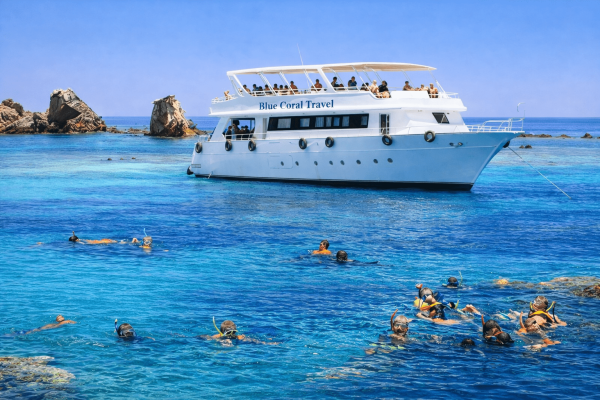 Full-Day Snorkeling Trip to Tiran Island